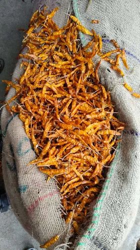 Teja Dry Yellow Chilli, Super Deluxe