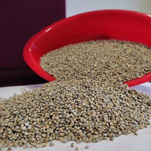 Bold Natural Green Millet for Human Consumption (Raw)