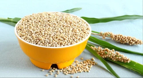 White Food Grade Whole Sorghum, Grain