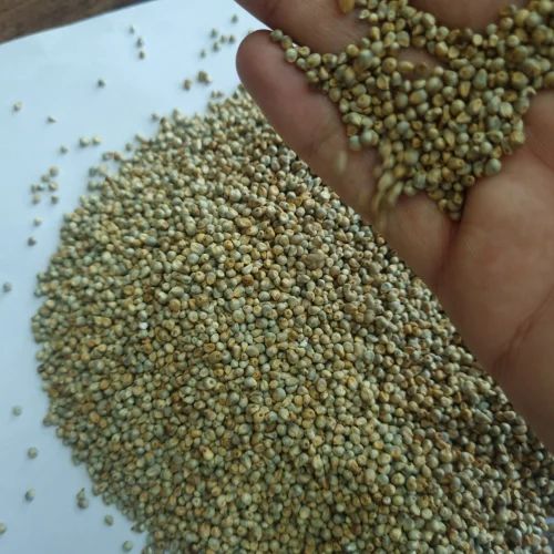 Green Millet Machine Cleaned Natural, For Human Consumption