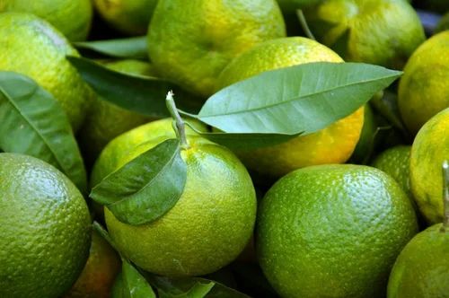 Nagpuri Fresh Orange - 25 kg Pack