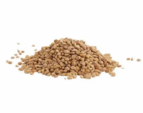 Charoli Chironji Seed