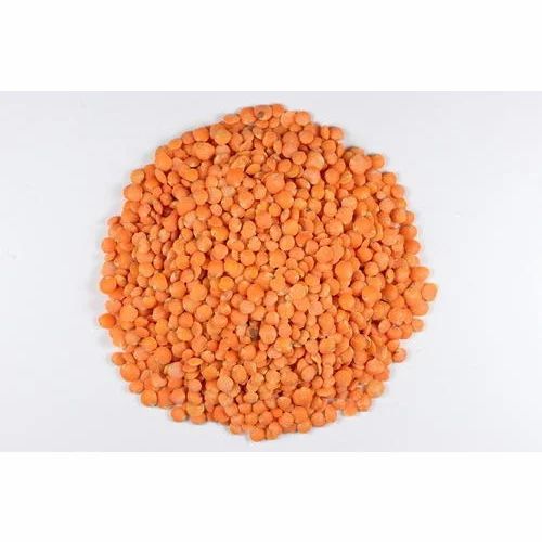 Red Lentils Beans, Bold
