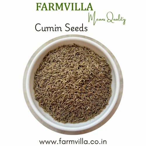 Cumin Seed Jeera
