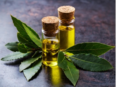 Leaves Essential Oil