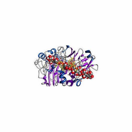 Pharmaceutical Enzymes, Mitushi Biopharma, 25