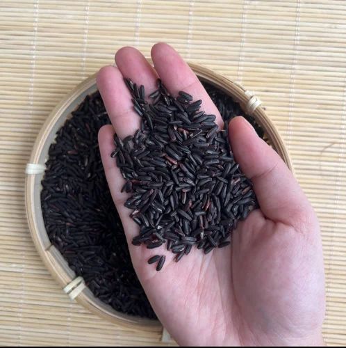 Organic Black Rice
