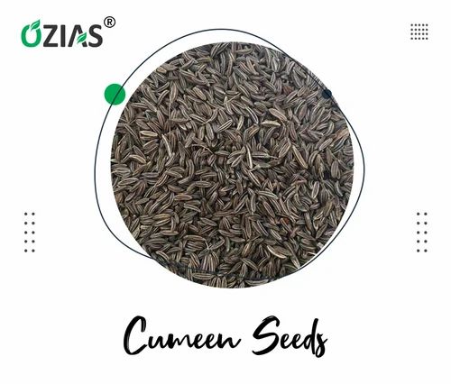 Ozias Black Cumin Seed Jeera, 20 kg, Packaging Type: pp bag