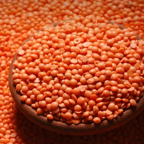 Split Masoor Dal / Red Lentil / Masoor Malka Dal, Medium, 30 kg