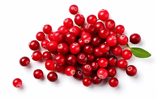Fresh Red Cranberries, Packaging Type: Packet, Packaging Size: Loose