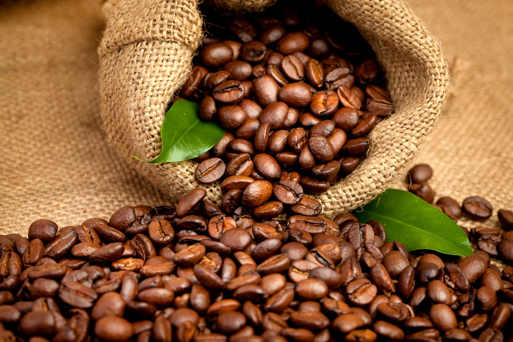 Arabica Coffee Beans at Wholesale rate
