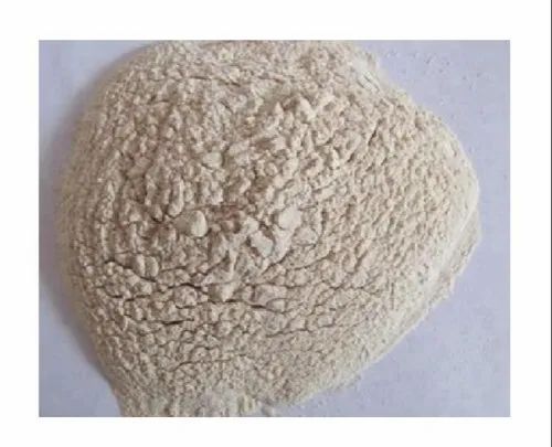 Fungal Diastase Enzyme Powder