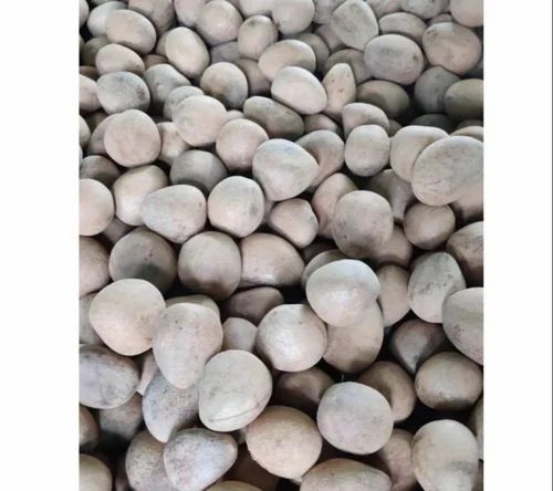 Brown Whole Dried Coconut, Packaging Size: 20kg,40kg, Packaging Type: Vacuum Bag