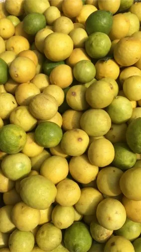 Fresh Lemon