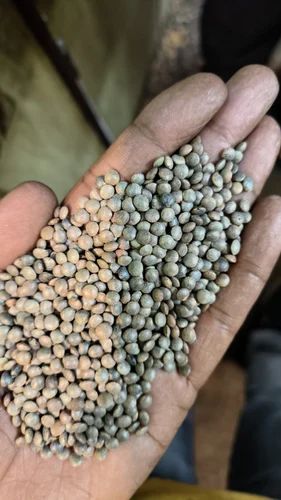 Black Masoor Dal, Packaging Size: 50 Kg