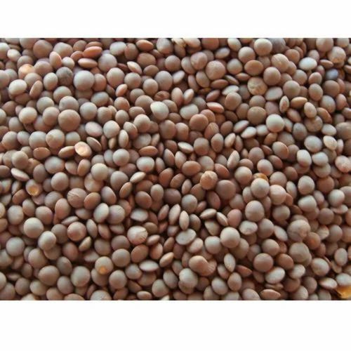 Organic Masoor Dal, Dried