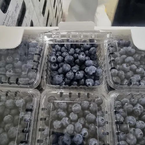 A Grade Imported Fresh Blueberry, Packaging Type: Plastic Bag, Packaging Size: 1.5 KG