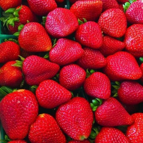 A Grade Organic Fresh Strawberries, Packaging Type: Plastic Bag, Packaging Size: 1 KG