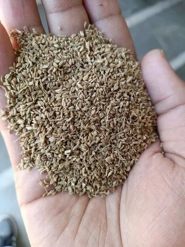 KNK SPICES Fresh Ajwain Seed, Packaging Size: 50 Kg