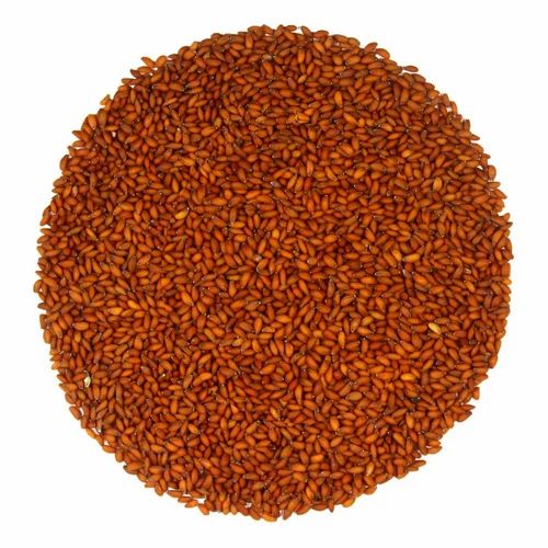 Brown Lepidium Sativum New Crop Garden Cress Seed, Packaging Size: 1 kg