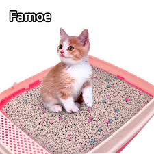  Cat Litter 