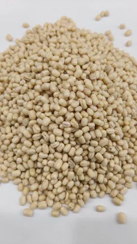 Organic Urad Whole White, Packaging Size: 10 Kg