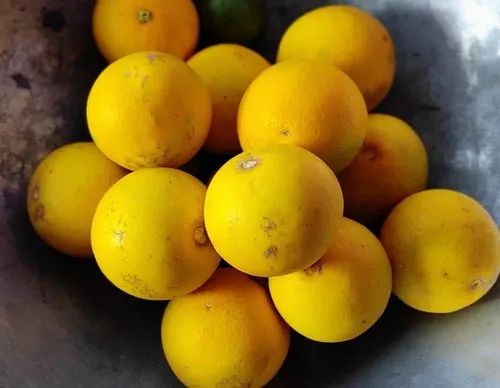 Orange A Grade Malta, Packaging Size: 5 Kg, Packaging Type: Carton