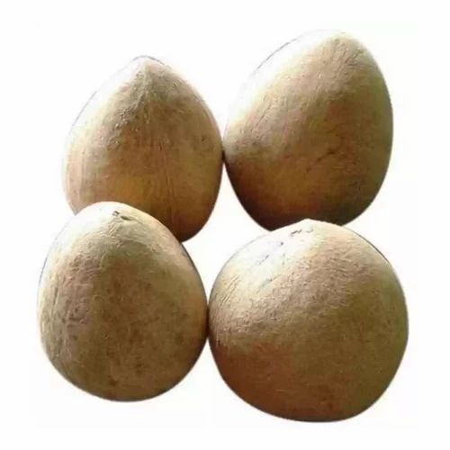 Brown Whole Dried Coconut, For Cooking, Packaging Type: Sacks