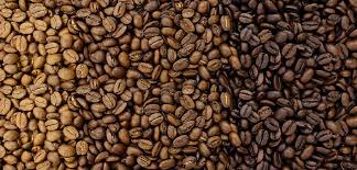Premium Whole Beans - Medium Roast