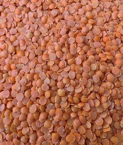 Organic Split Red Masoor Dal, Dried