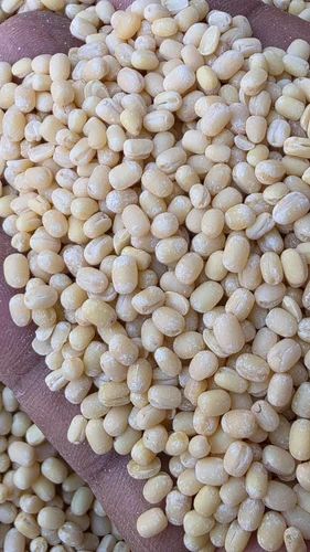 Organic Whole White Urad Dal, Dried