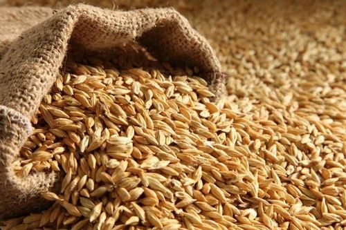 Roasted Barley Malt Extract