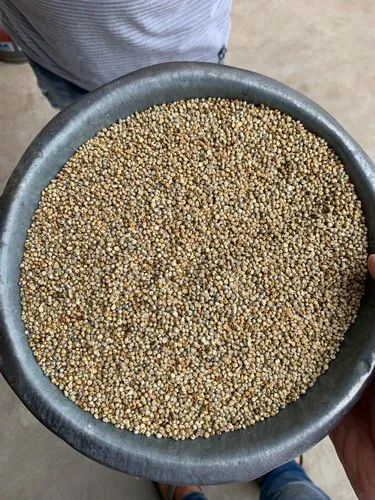 Yellow Millet, High in Protein