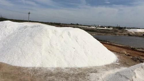 Dry Fish Processing Salt