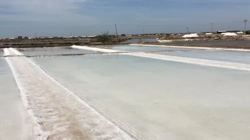 Solar Evaporation - Salt