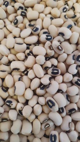 Black Eye Beans Karamani, Lobia