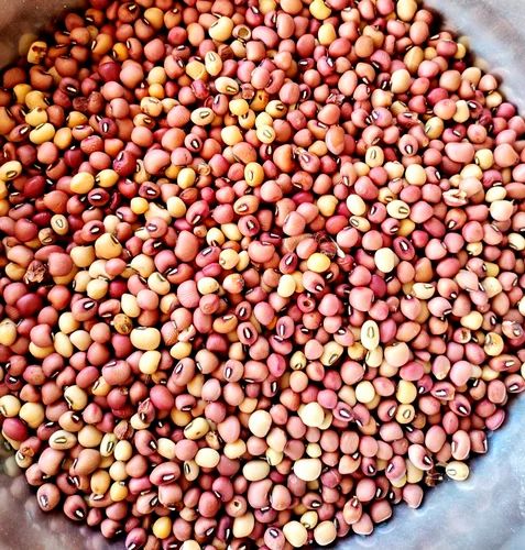 Mixed Lobia Mixed Colour Sada Karamani