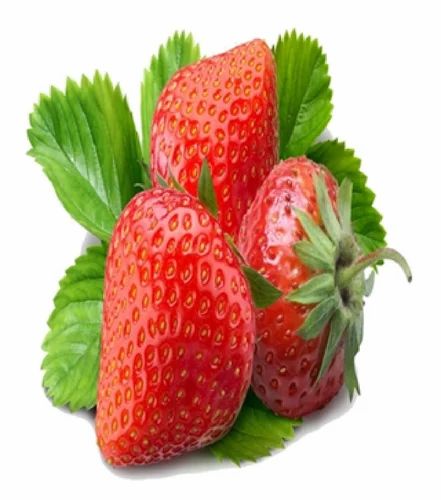 Pure Fresh Strawberry