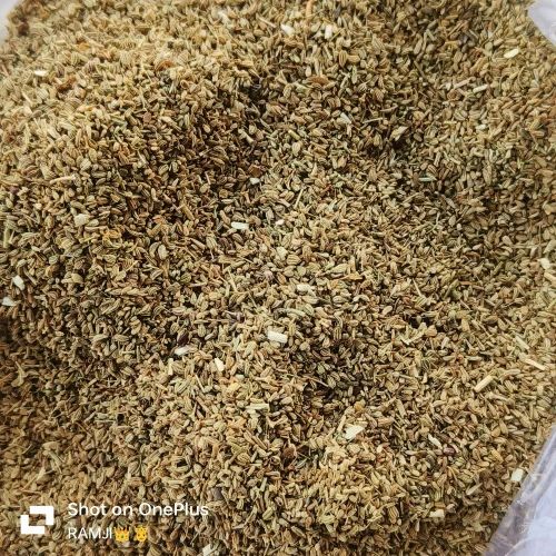 Grade Available: Medium ( Grade B ) Organic Ajwain Seeds, 25 Kg, PP Bag
