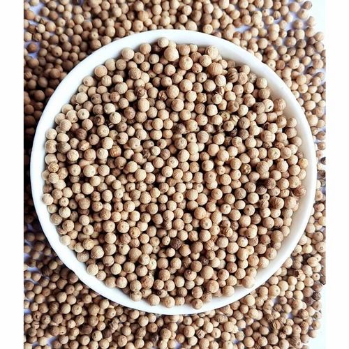7mm Organic White Pepper Seeds