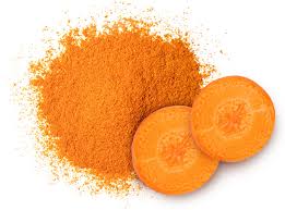 Dried Dehydrated Carrot Powder