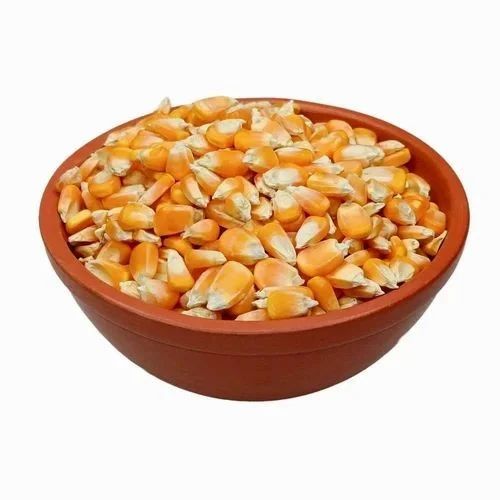 Yellow Animal Feed Raw Maize