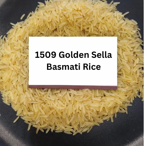 1509 Golden Sella Basmati Rice