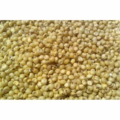 Sorghum Organic Millet