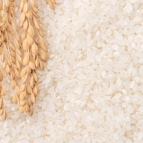 Jeerakasala Rice, 50 Kg, Packaging Type: PP Bag