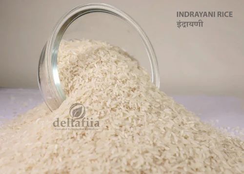Deltafiia Fresh Indryani Tandool, Packaging Type: PP Bag, Packaging Size: 30 Kg