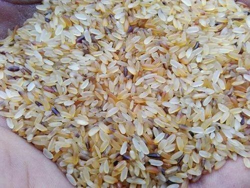 Rejection Hybrid Parmal Raw Rice, Packaging Type: Plastic Bag
