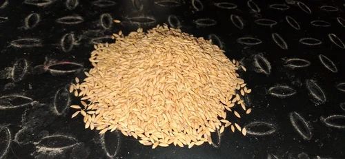 Gobindobhog Raw Paddy