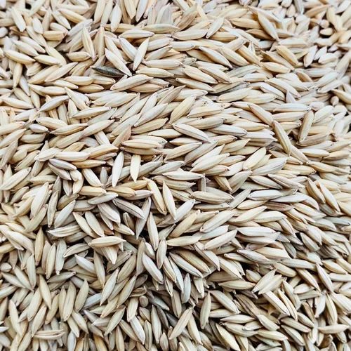 RNR Paddy Rice, Packaging Type: Loose