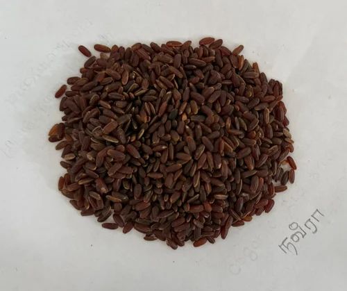 Reddish Brown Navara Rice, Packaging Type: Loose, Packaging Size: 10 Kg